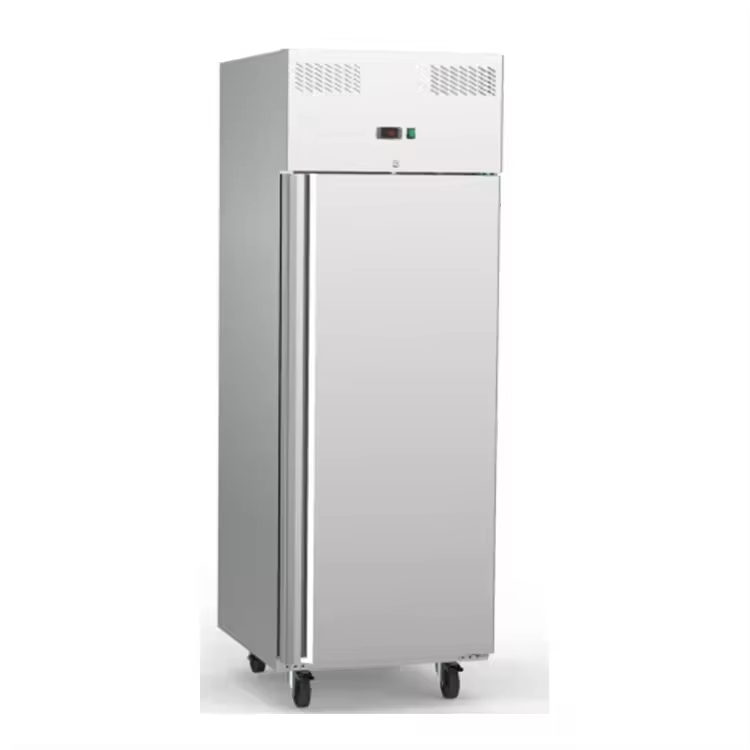 Refrigerador vertical de 1 puerta 0 a 5℃ 110V 60hz RGC