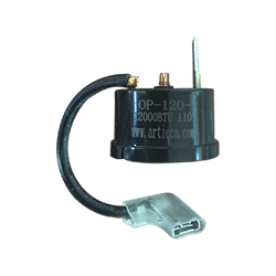 [10290020] Protector termico A/A 9.000 BTU 110V RGC